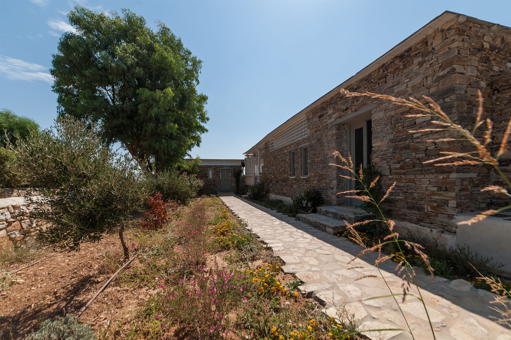 Soros Beach Antiparos Agios Georgios  Dış mekan fotoğraf